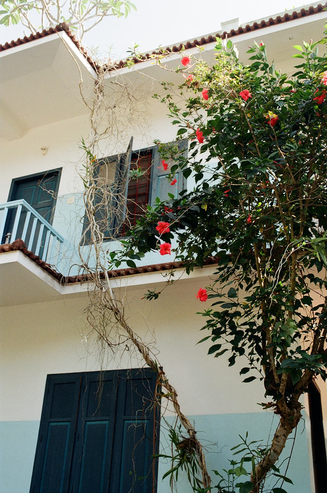Pool from Villa Jacaranda