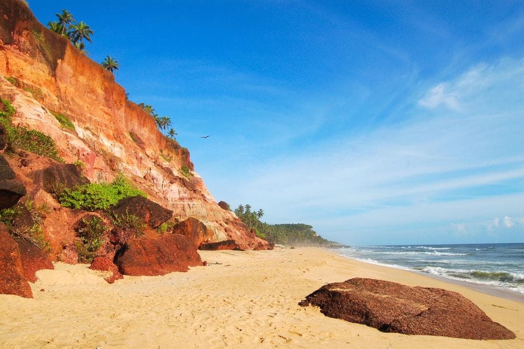 Jacaranda Coast